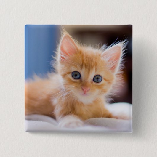 Cute met blauwe ogen vierkante button 5,1 cm (Voorkant)
