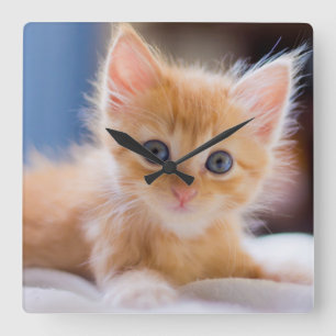 Cute met blauwe ogen vierkante klok