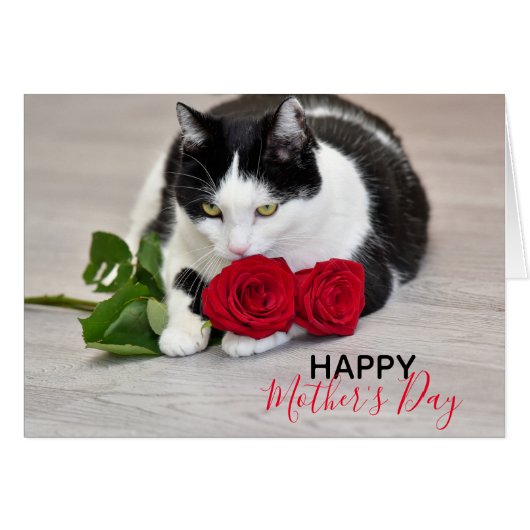 Cute met rode roos (Voorkant Horizontaal)