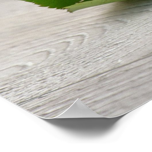 Cute met rode roos poster (Hoek)