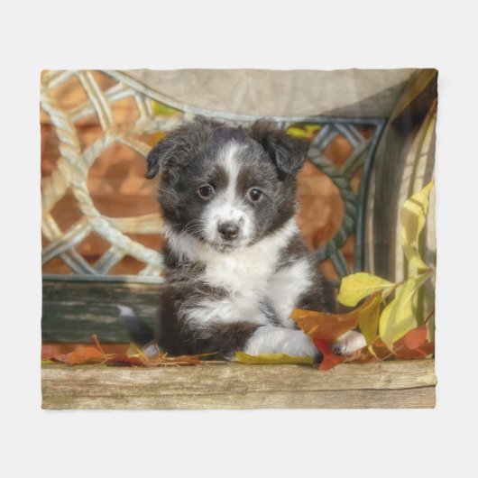 Cute Mini Aussie Shepherd Dog BiColor Puppy _  Fleece Deken (Voorkant (Horizontaal))