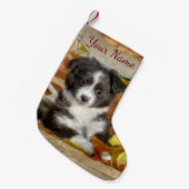 Cute Mini Aussie Shepherd Dog BiColor Puppy - Kleine Kerstsok (Voorkant (Hangend))