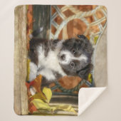 Cute Mini Aussie Shepherd Dog BiColor Puppy — Sherpa Deken (Voorkant)