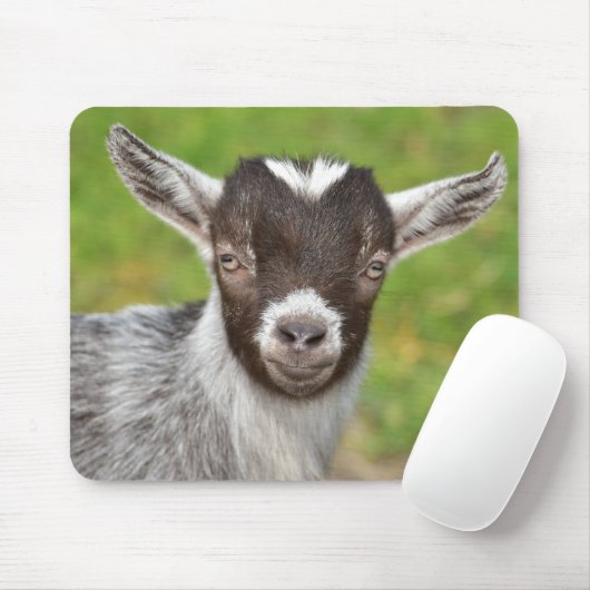 Cute Mini Dwarf Kind Muismat (Met muis)