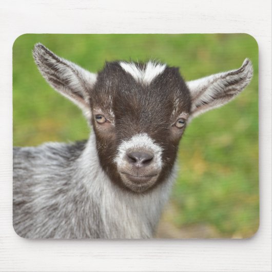 Cute Mini Dwarf Kind Muismat (Voorkant)