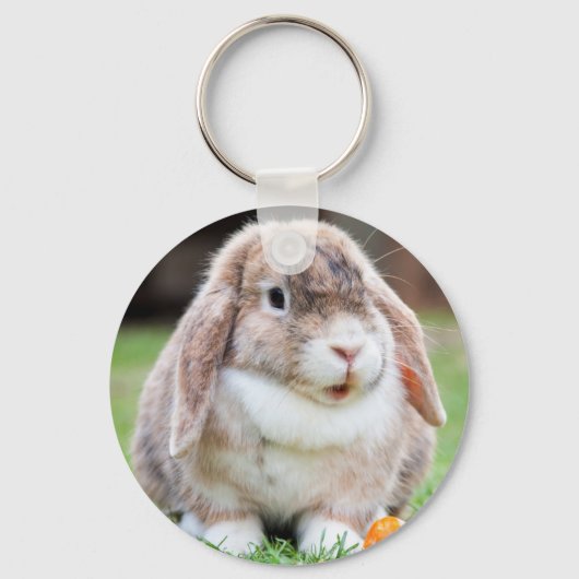 Cute Mini Holland Lop Bunny Rabbit Sleutelhanger (Voorkant)