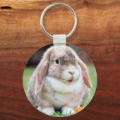 Cute Mini Holland Lop Bunny Rabbit Sleutelhanger (Voorkant)