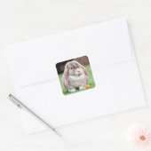 Cute Mini Holland Lop Bunny Rabbit Vierkante Sticker (Envelop)