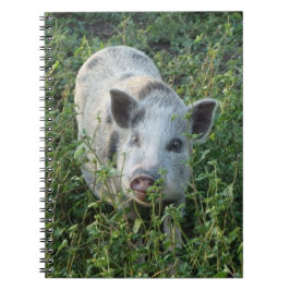 Cute Mini Juliana Pet Pig Notitieboek