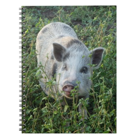 Cute Mini Juliana Pet Pig Notitieboek (Voorkant)