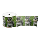 Cute Mini Schnauzer on Grass Spool of Ribbon Satijnen Lint (Spoel)