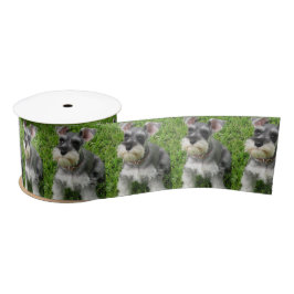 Cute Mini Schnauzer on Grass Spool of Ribbon Satijnen Lint