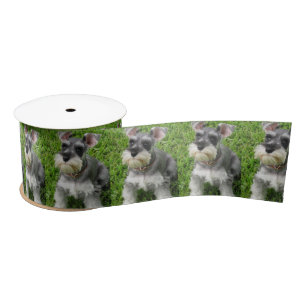 Cute Mini Schnauzer on Grass Spool of Ribbon Satijnen Lint