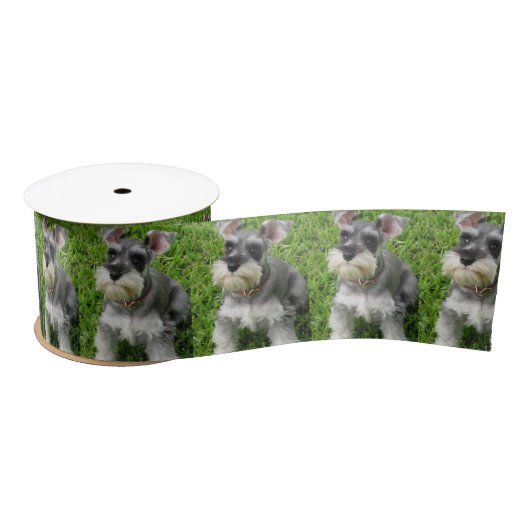 Cute Mini Schnauzer on Grass Spool of Ribbon Satijnen Lint (Spoel)