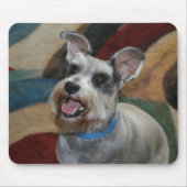 Cute Mini Sxhnauzer Muismat (Voorkant)