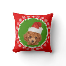 Cute Miniature Poodle Kerstkerstkerstkerstkerstker