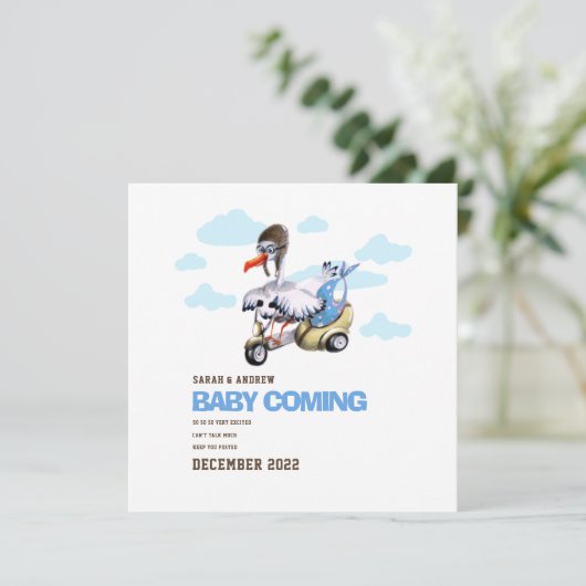 Cute Modern Whimsical Funny Stork Zwangerschap Aankondiging (Staand voorkant)