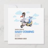 Cute Modern Whimsical Funny Stork Zwangerschap Aankondiging (Voorkant)