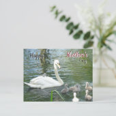 Cute Moeder Swan & Babies Moederdag Briefkaart (Staand voorkant)