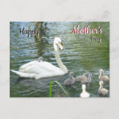 Cute Moeder Swan & Babies Moederdag Briefkaart (Voorkant)