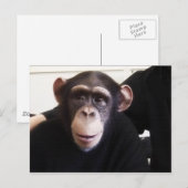 Cute monkey briefkaart (Voorkant / Achterkant)