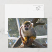 Cute Monkey Briefkaart (Voorkant / Achterkant)
