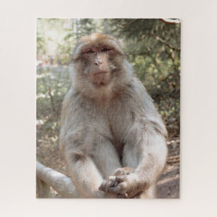 Cute monkey legpuzzel