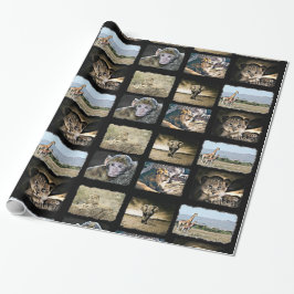 Cute Monkey, Lion en Giraffe Gift Wrap Cadeaupapier