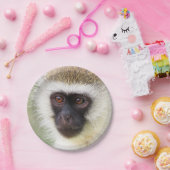 Cute monkey portret papieren bordje (Feest)