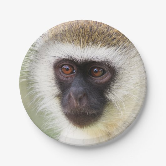 Cute monkey portret papieren bordje (Voorkant)