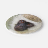 Cute monkey portret papieren bordje (Gekanteld)