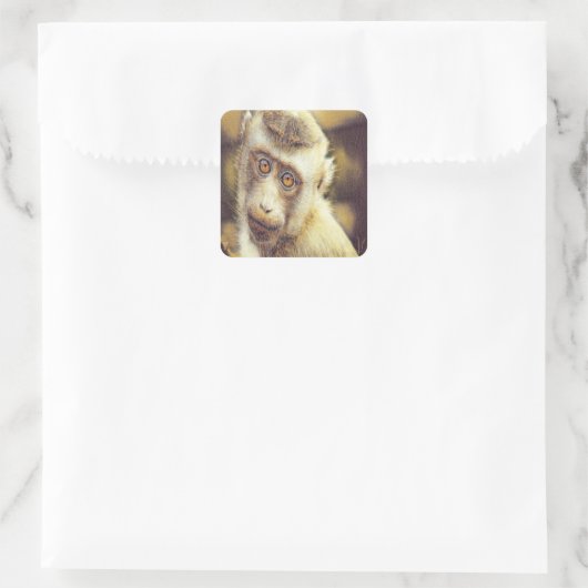 Cute monkey vierkante sticker (Tas)
