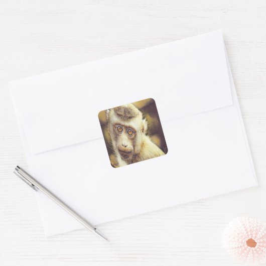 Cute monkey vierkante sticker (Envelop)