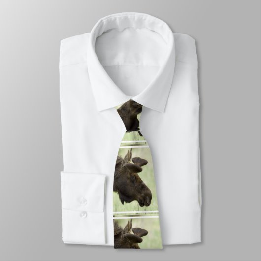 Cute Moose Stropdas (Gebonden)