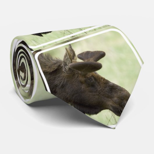 Cute Moose Stropdas (Opgerold)