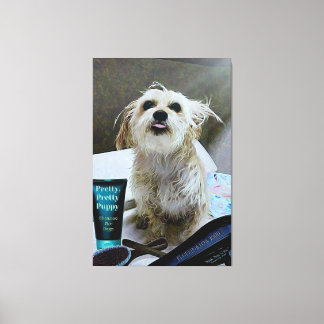 Cute Morkie Puppy Dog Funny Canvas 40 x 60 inch Afdruk