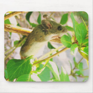 Cute Mouse Muismat