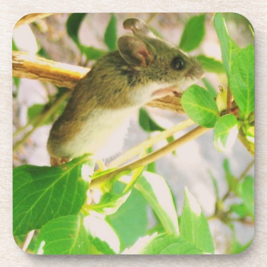 Cute Mouse Onderzetter (Voorkant)