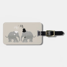 Cute  Mr. en mevrouw Bride en Groom Elephants