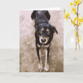 Cute Muddy and Wet Dog Lazing Brown and Black Kaart (Gele Bloem)