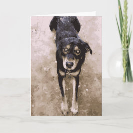 Cute Muddy and Wet Dog Lazing Brown and Black Kaart