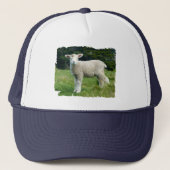 Cute Muddy Baby Sheep Lamb in a Meadow Trucker Pet (Voorkant)