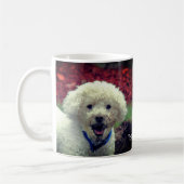 Cute Muddy Faced Poodle Personated Koffiemok (Links)