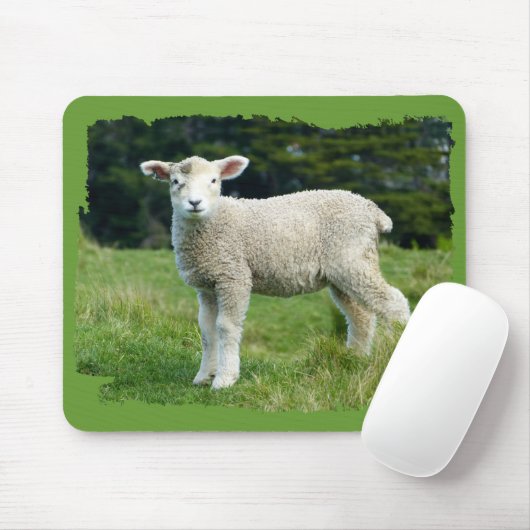 Cute Muddy Lamb Baby Sheep in Meadow Muismat (Met muis)