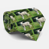 Cute Muddy Lamb Baby Sheep in Meadow Stropdas (Opgerold)