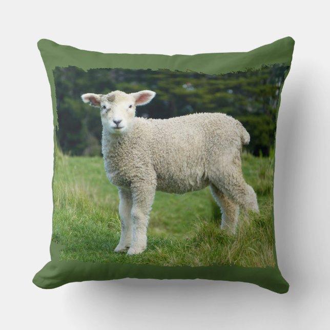 Cute Muddy Lamb in Meadow Ragged Edge Design Kussen (Voorkant)