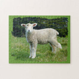 Cute Muddy Lamb in Meadow Ragged Edge Design Legpuzzel