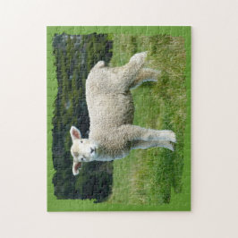 Cute Muddy Lamb in Meadow Ragged Edge Design Legpuzzel