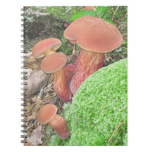 Cute Mushroom Family Notitieboek