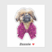 Cute Nala Shih Tzu Puppy Dog  Sticker (Vel)